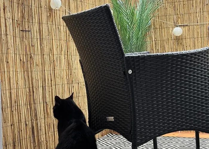 Schoene Mit Balkon Lejlighed